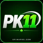PK11 Game (New Online Game) - Download for Android and iOS